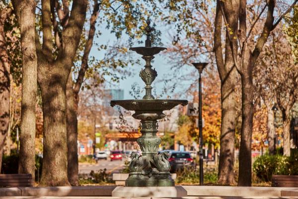 Fontaine aux canards, Auteur Inconnu