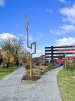 Les embranchements fructueux, Natacha Clitandre, Salima Punjani