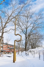 Les embranchements fructueux, Natacha Clitandre, Salima Punjani